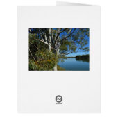 ガムツリーで眠っているコアラ熊，大きな誕生日カード (裏面)