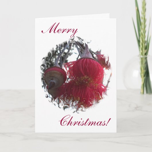 ガムナッツクリスマスカード シーズンカード (正面)