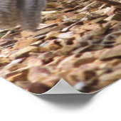 ガムベルズウワイルとヒック ポスター (角)