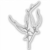 ガムリーフシール シール (正面)