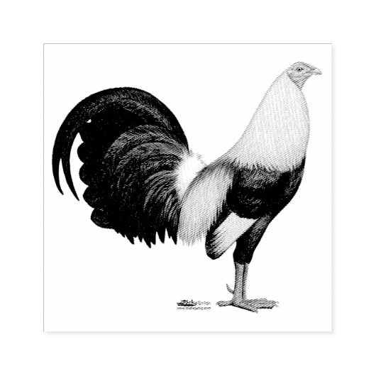 ガメコグレイ ラバースタンプ (インプリント)