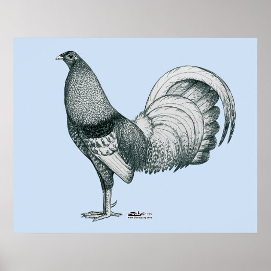 ガメコッククレレまたはドム ポスター (正面)