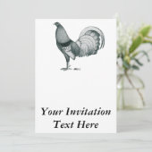 ガメコッククレレまたはドム 招待状 (スタンド正面)