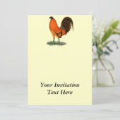 ガメコックジンジャーレッドルスター 招待状 (スタンド正面)