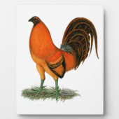 ガメコックジンジャーレッドルースター フォトプラーク (正面)