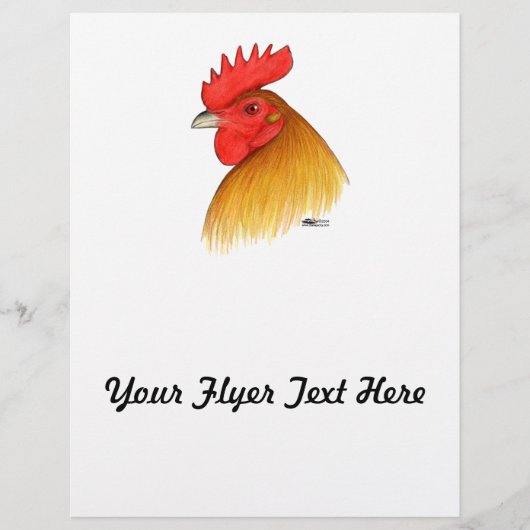 ガメコックスタグコ独身のンブ チラシ (正面)