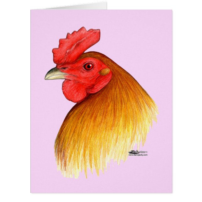 ガメコックスタグピーコーム (正面)