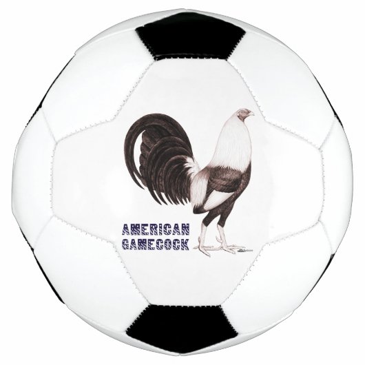 ガメコックセピア サッカーボール (正面)