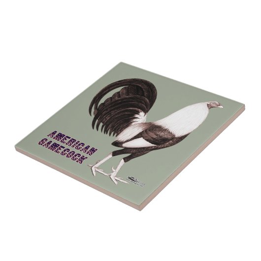 ガメコックセピア タイル (側面)