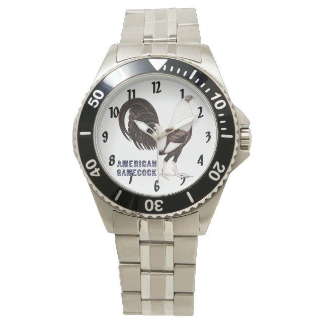 ガメコックセピア 腕時計 (正面)