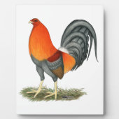 ガメコックブルーレッドルースター フォトプラーク (正面)