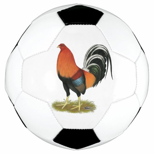ガメコックホエーンルースター サッカーボール (正面)
