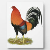 ガメコックホエーンルースター フォトプラーク (正面)