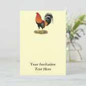 ガメコックホーテンルースター 招待状 (スタンド正面)