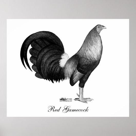 ガメコックレッドハッチ ポスター (正面)