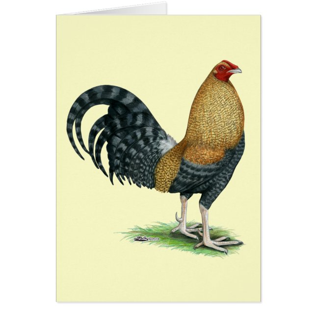 ガメコック：ドムまたはクレレ (正面)