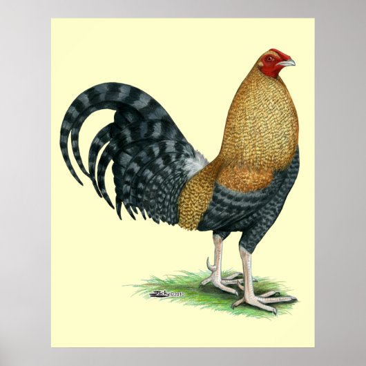 ガメコック:ドムまたはクレレ ポスター (正面)