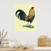 ガメコック:ドムまたはクレレ ポスター (キッチン)