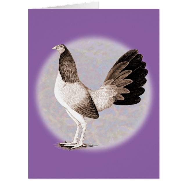 ガメコック：ヘンニー (正面)