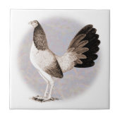 ガメコック：ヘンニー タイル (正面)