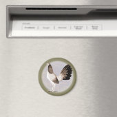 ガメコック：ヘンニー マグネット (インサイチュ (食洗機))