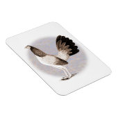 ガメコック：ヘンニー マグネット (右側)