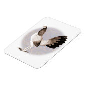 ガメコック：ヘンニー マグネット (左側)