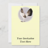 ガメコック：ヘンニー 招待状 (正面)