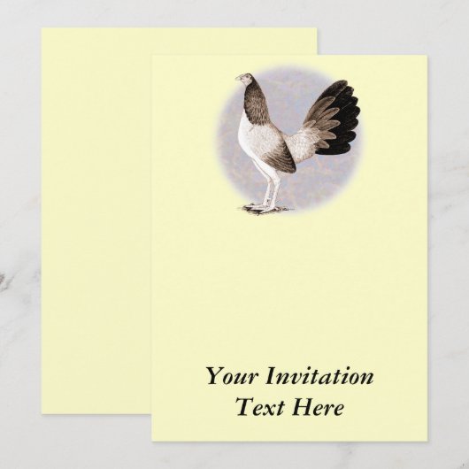 ガメコック：ヘンニー 招待状 (正面/裏面)