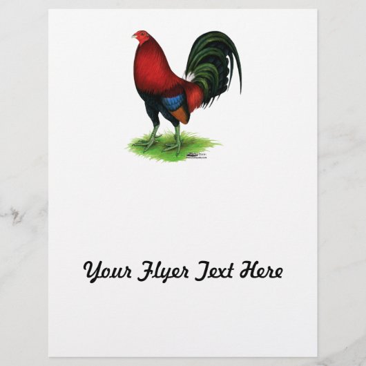 ガメコック：濃い赤 チラシ (正面)