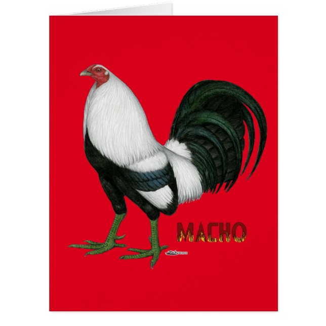 ガメコマチョダクウィング (正面)