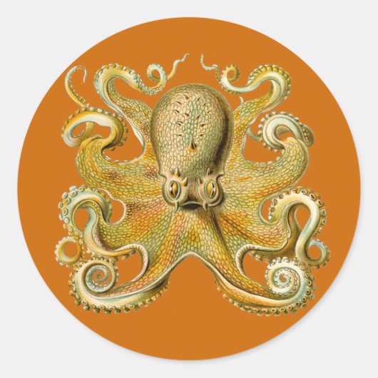 ガモチョニアステッカー ラウンドシール (正面)