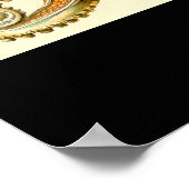 ガモチョニア – プレート54クンストフォーメンデルナトゥール ポスター (角)