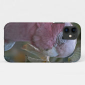 ガラまたはバラ産のコカトゥー Case-Mate iPhoneケース (裏面(横))