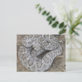 ガラガラヘビ ポストカード (スタンド正面)