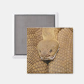 ガラガラ頭 マグネット (正面/裏面)