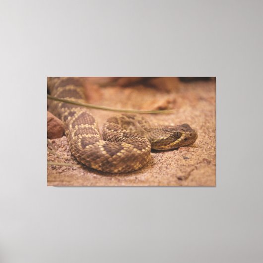 ガラガラ キャンバスプリント (正面)