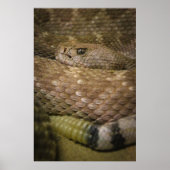 ガラガラ ポスター (正面)