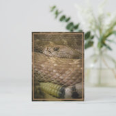 ガラガラ ポストカード (スタンド正面)