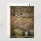 ガラガラ ポストカード (正面/裏面)