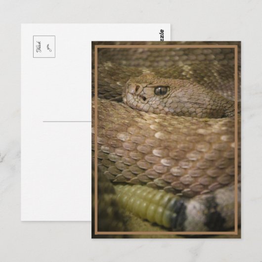 ガラガラ ポストカード (正面/裏面)