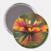 ガラジア マグネット (正面/裏面)