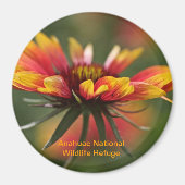 ガラジア マグネット (正面)