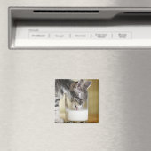 ガラスからミルクを飲む子猫 マグネット (インサイチュ (食洗機))