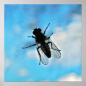 ガラスで飛ぶ ポスター (正面)