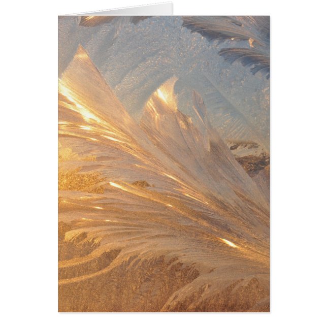 ガラスに冬の霜 (正面)