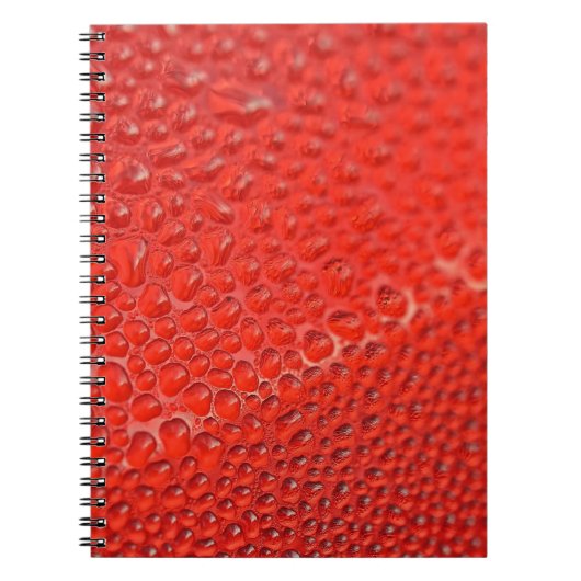 ガラスに赤が滴る ノートブック (正面)