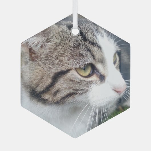 ガラスのクリスマスの装飾カスタムと写真の画像 ガラスオーナメント (正面)