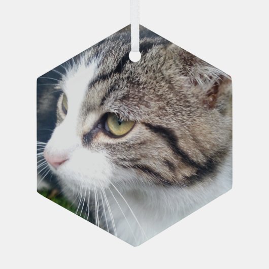 ガラスのクリスマスの装飾カスタムと写真の画像 ガラスオーナメント (裏面)