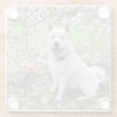 ガラスのコースターホワイト秋田 ガラスコースター (裏面)